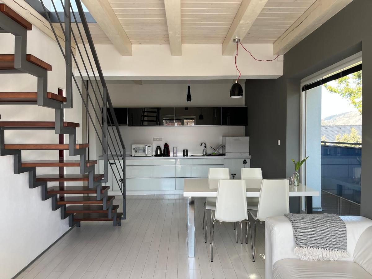 Modry Dom Apartment Spišské Bystré Bagian luar foto