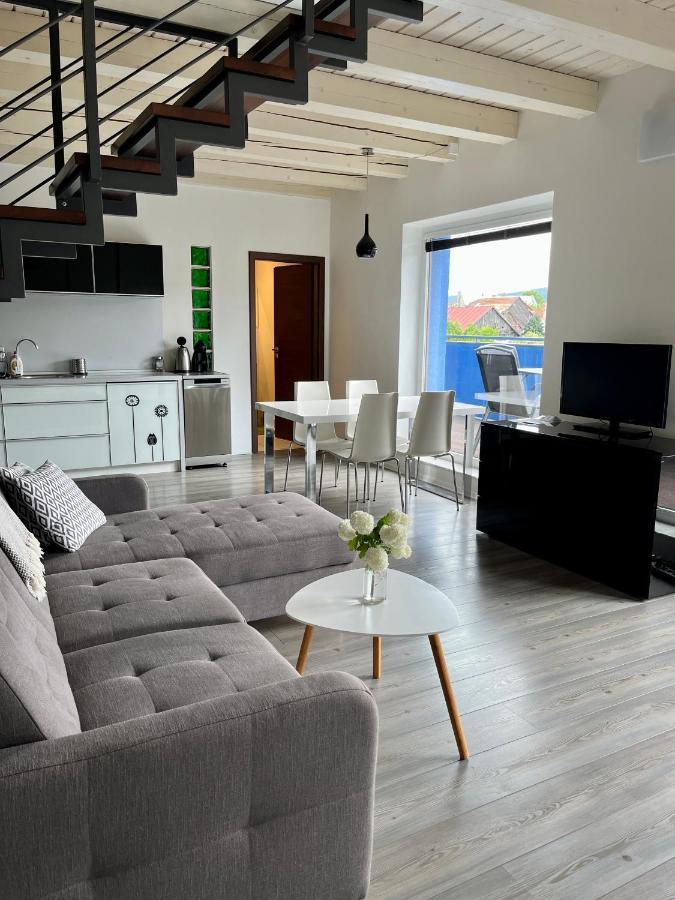 Modry Dom Apartment Spišské Bystré Bagian luar foto
