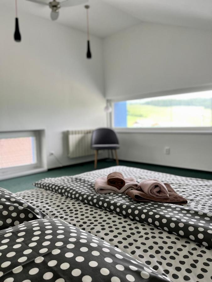 Modry Dom Apartment Spišské Bystré Bagian luar foto