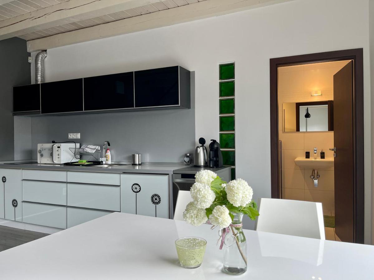 Modry Dom Apartment Spišské Bystré Bagian luar foto
