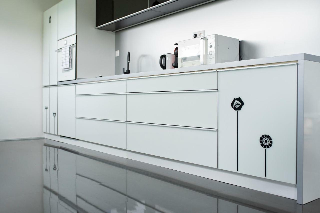 Modry Dom Apartment Spišské Bystré Bagian luar foto